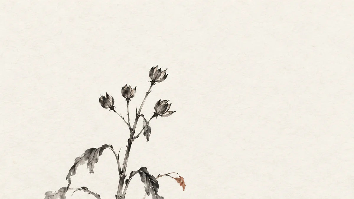 Ink wash painting of one upright dry herb stem with empty seed pods and no fresh shoots, its outward growing season has ended; calm stillness, not destruction.