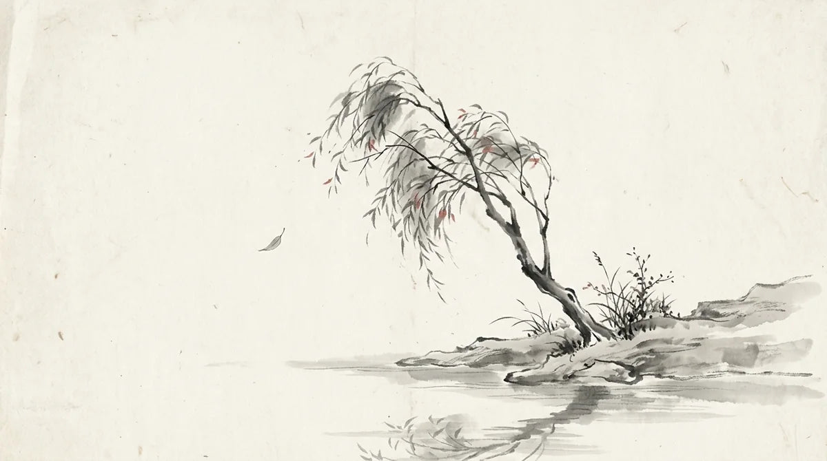 Ink wash illustration: a slender riverside willow bending gently in a passing gust, with one fallen leaf